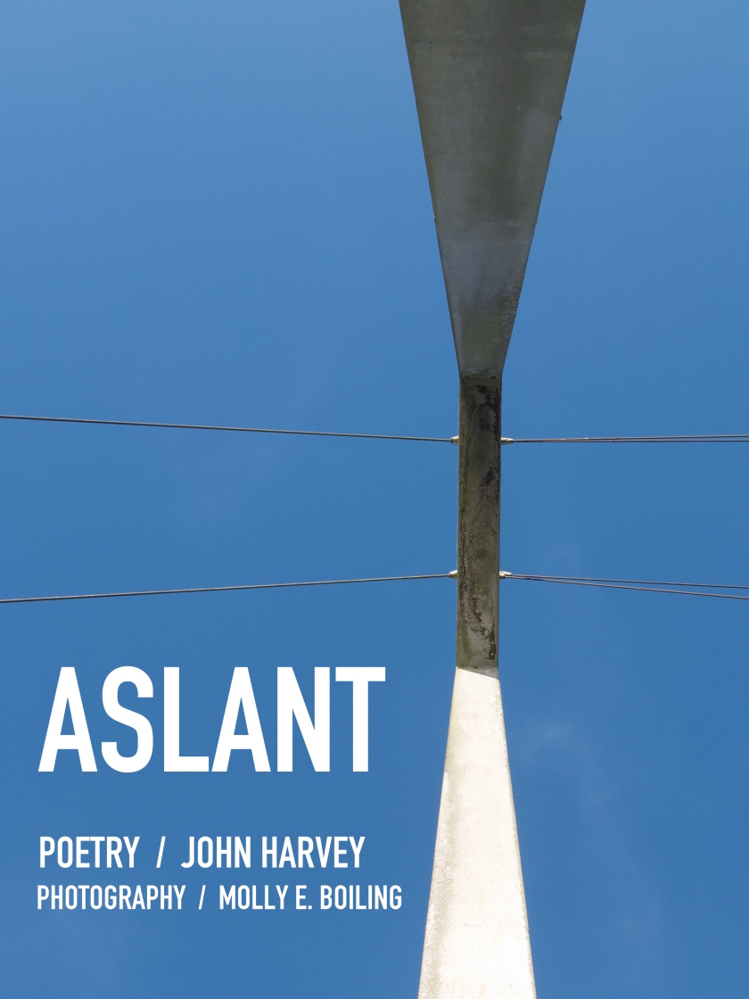 ASLANT COVER10